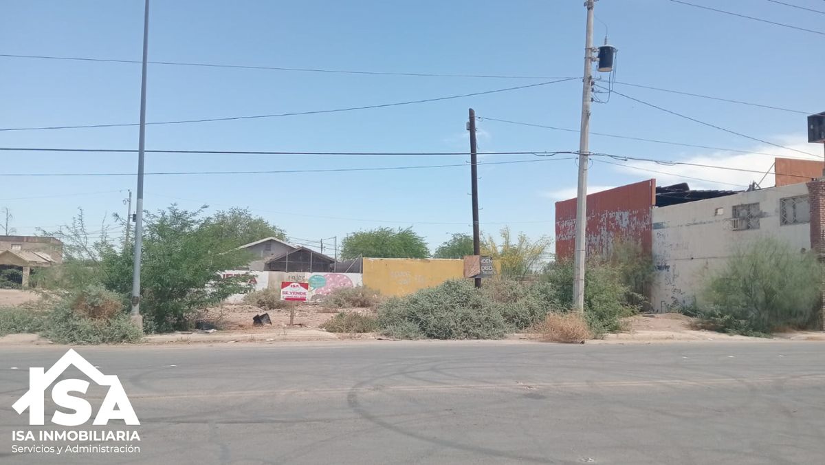 3 de 6