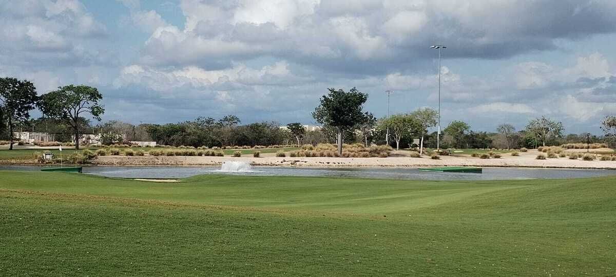 5 de 11: Campo de golf