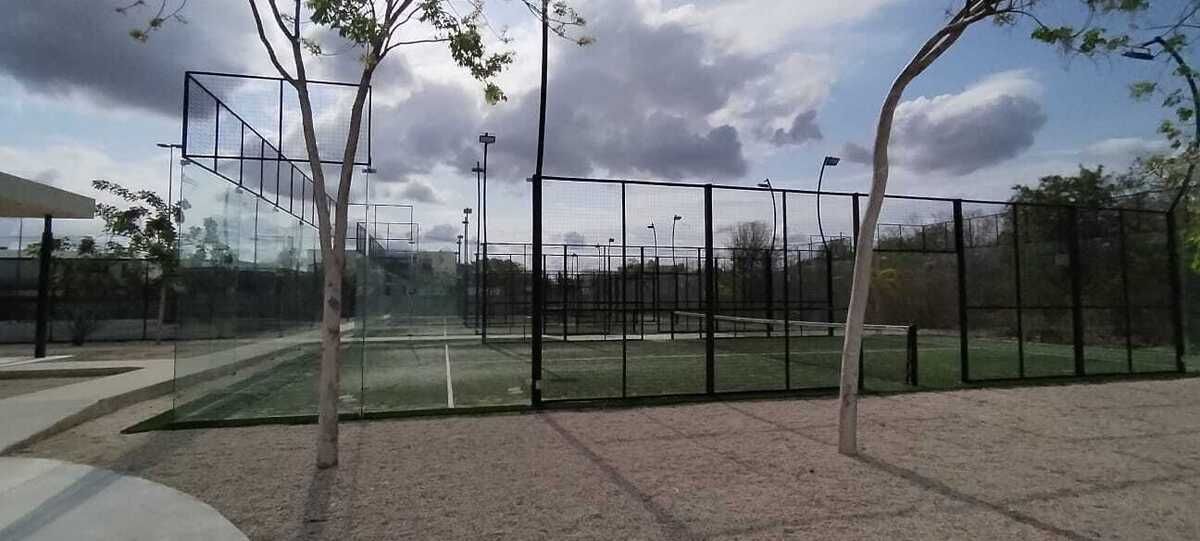 4 de 11: Canchas