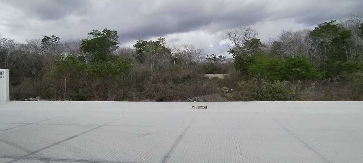 11 de 15: Lote 6642