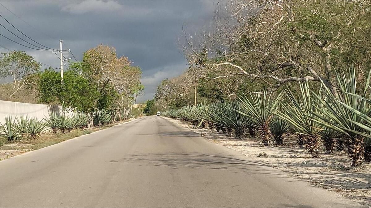2 de 15: Entrada