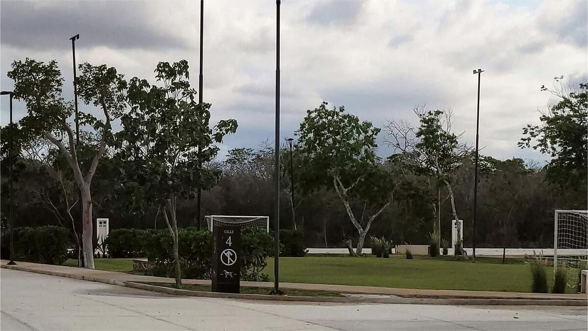 15 de 15