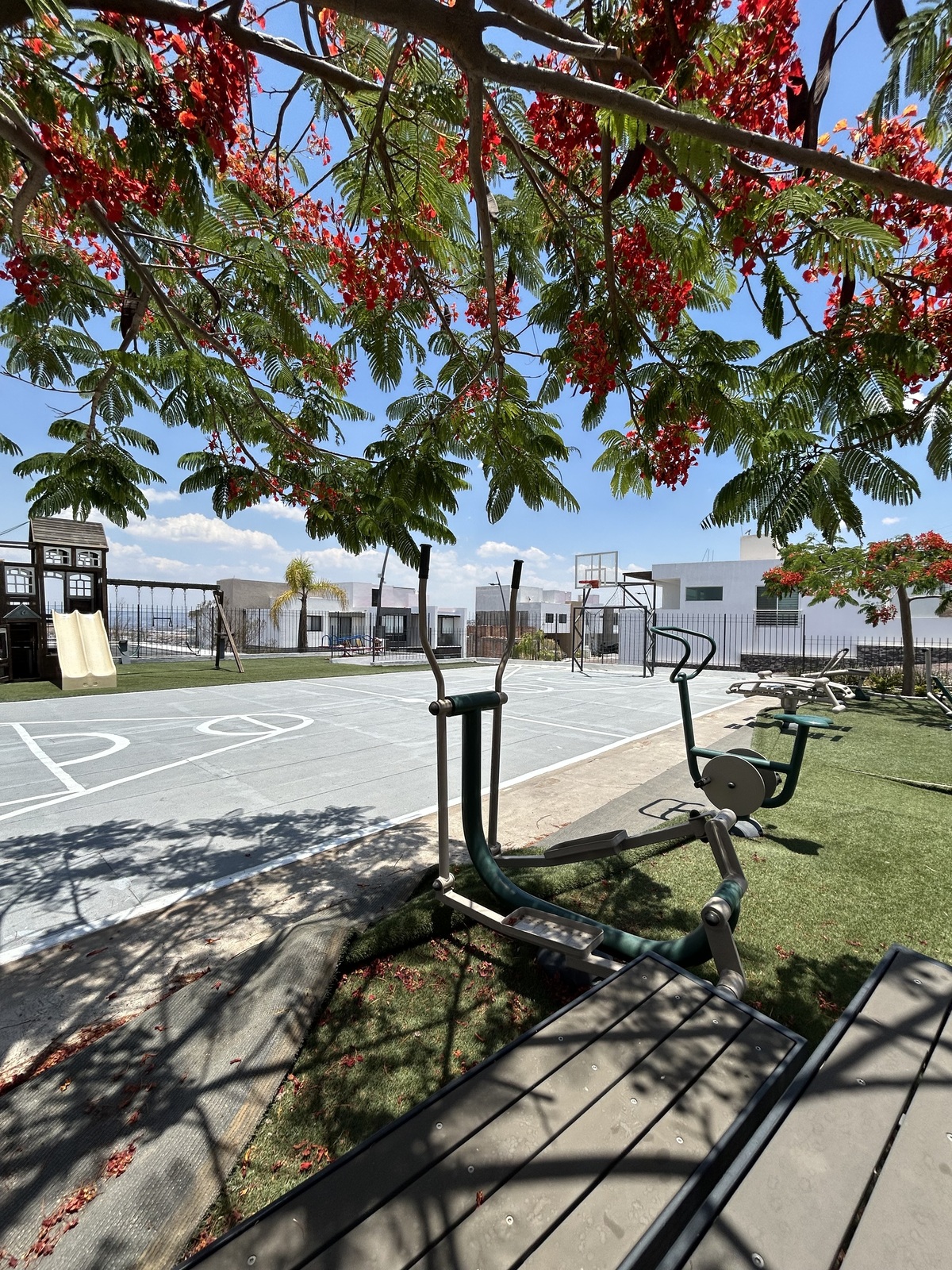 4 de 33: cancha amenidades