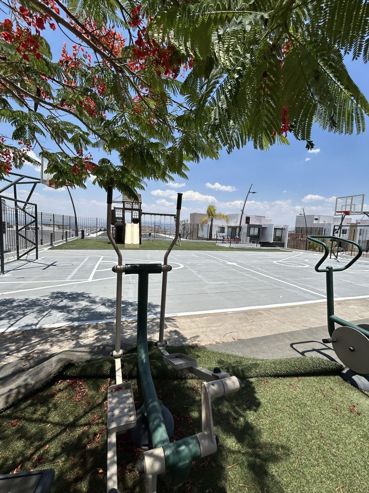 8 de 12