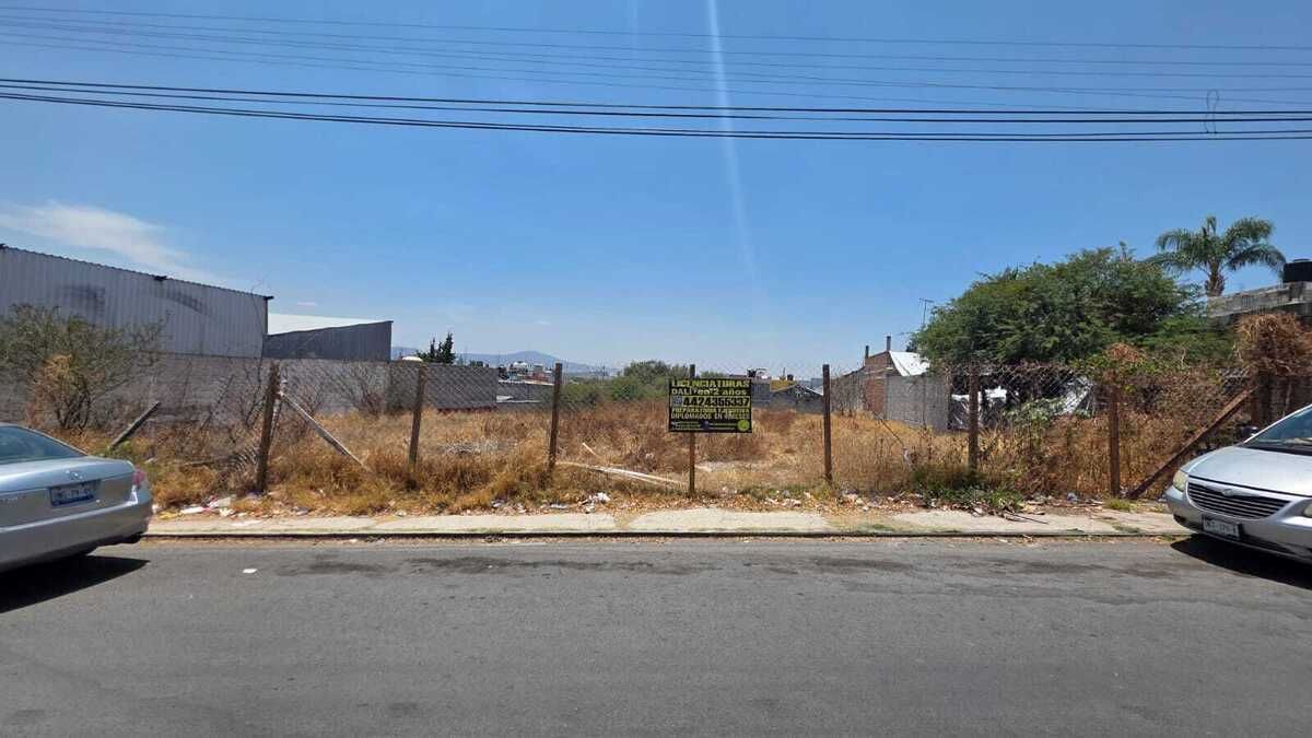 Imagen 3 de 6
