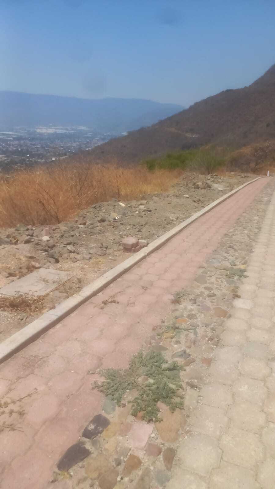 5 de 15