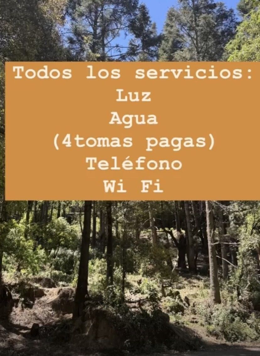 Imagen 3 de 9