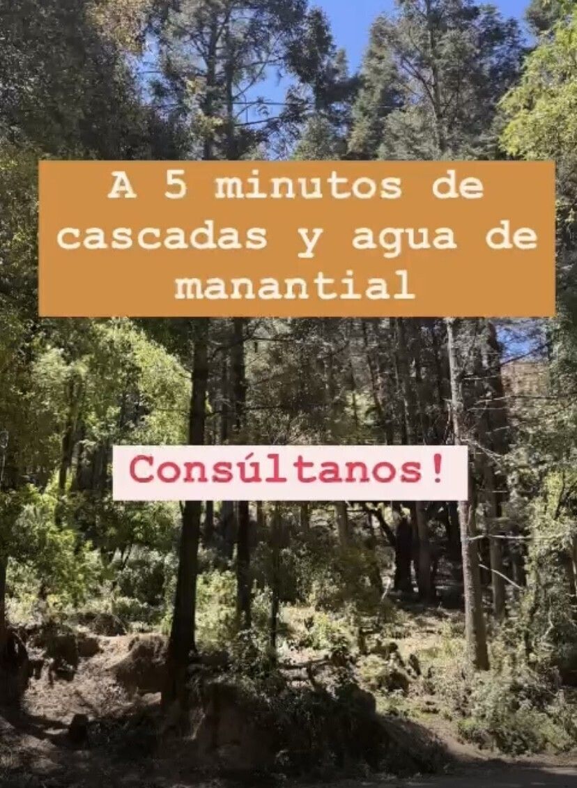 Imagen 8 de 9