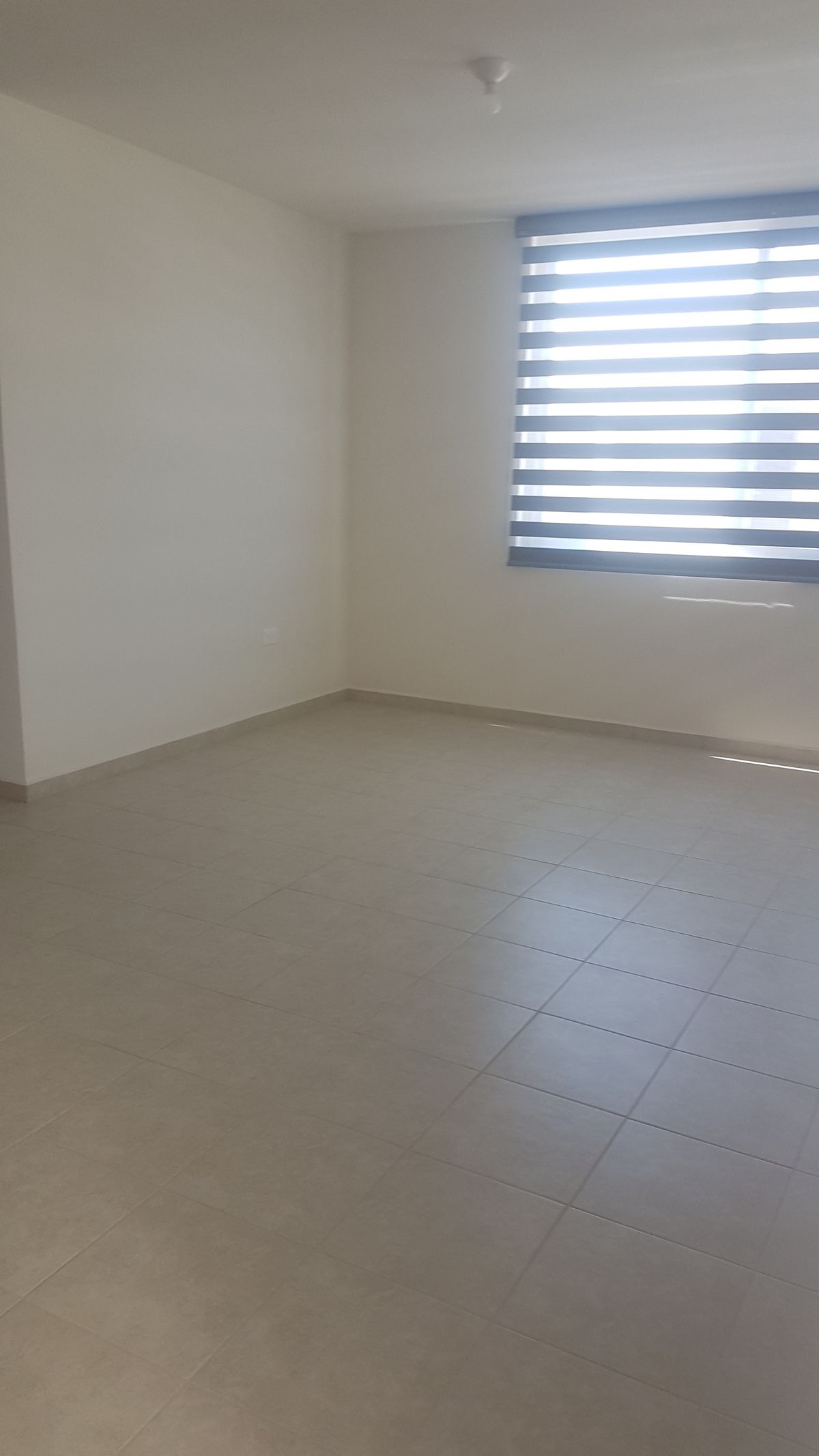 2 de 11