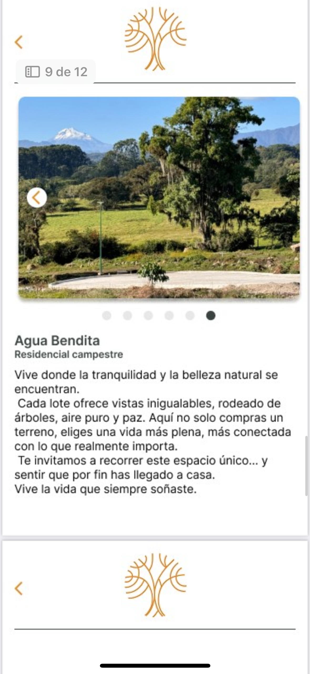 4 de 22