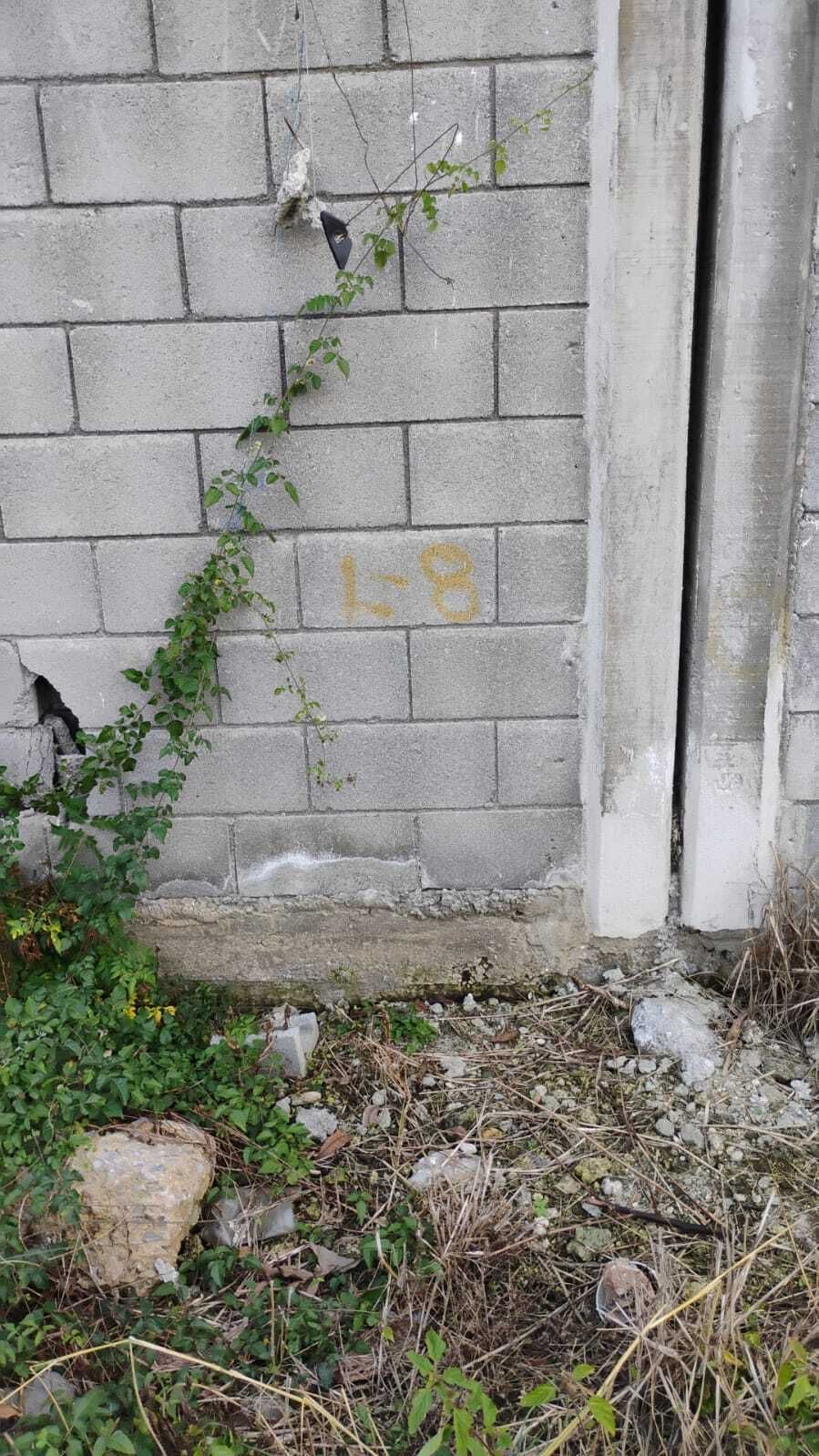 8 of 20