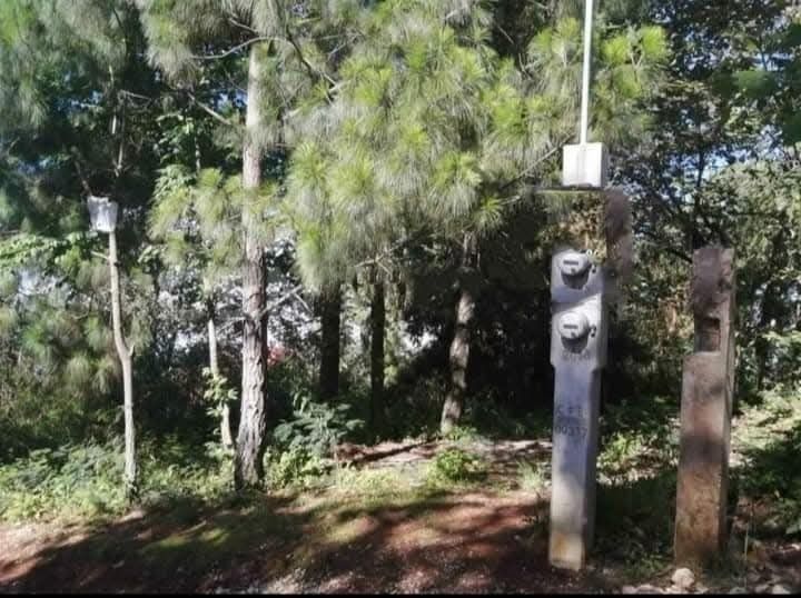2 de 7