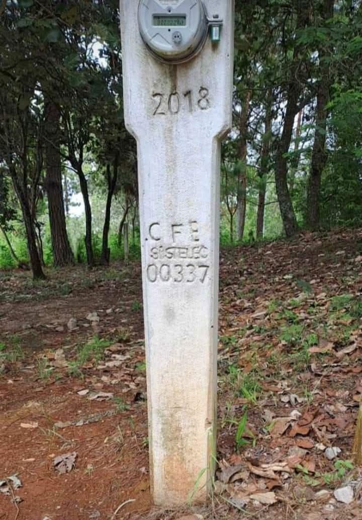 3 de 7