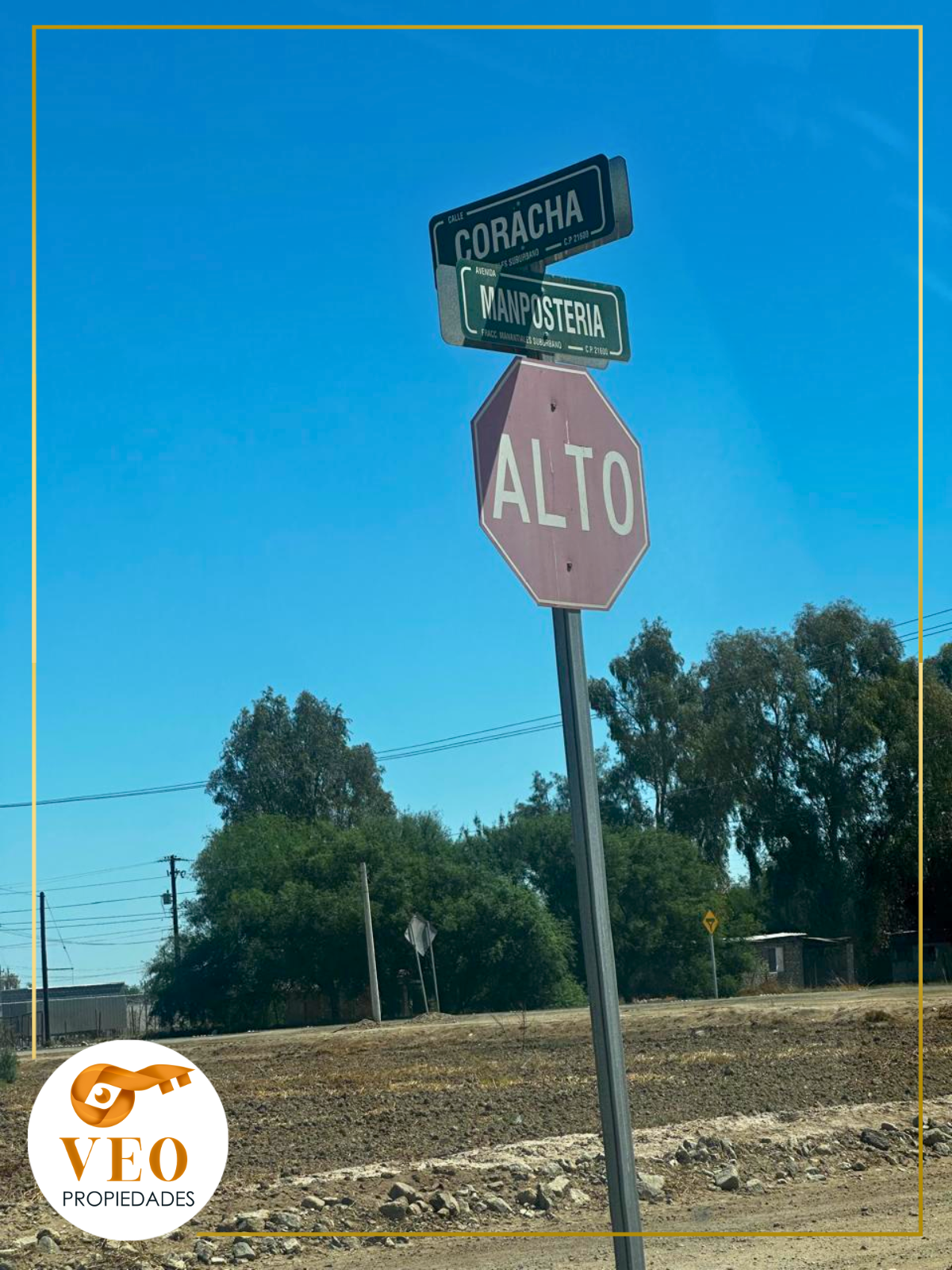 Imagen 10 de 10