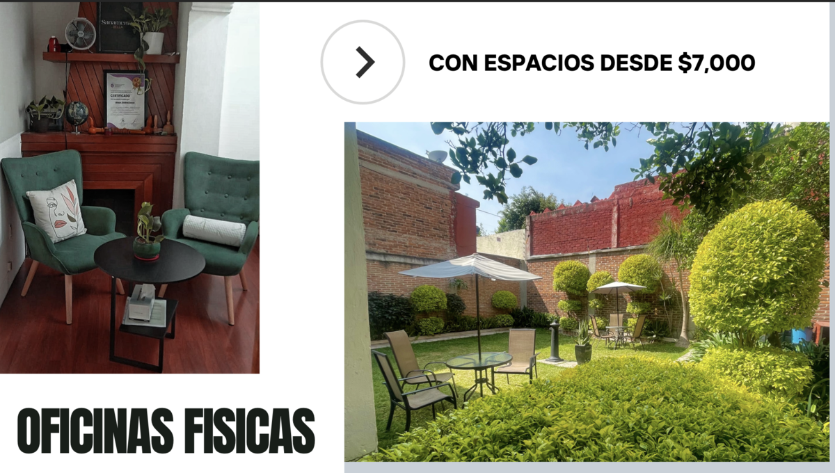 3 de 6