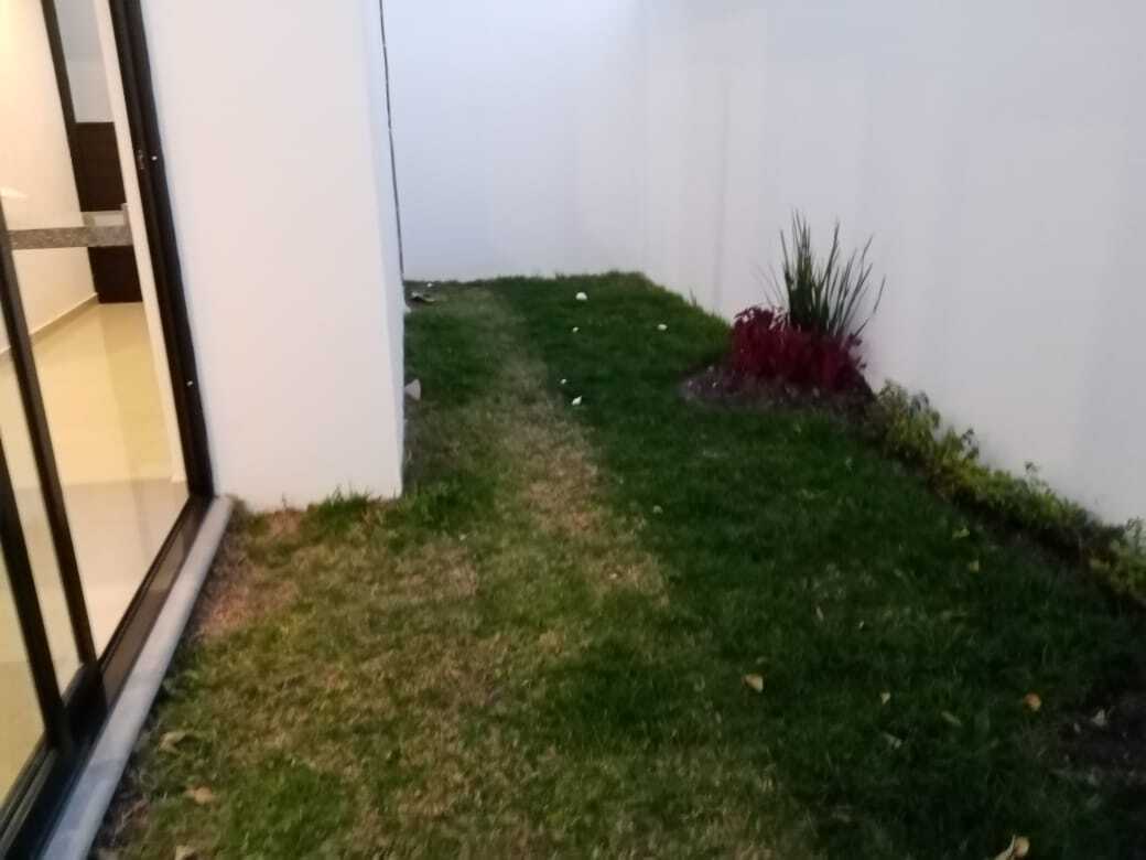 31 de 39