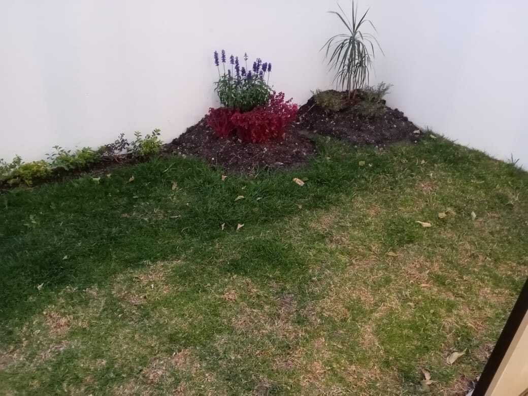 39 de 39