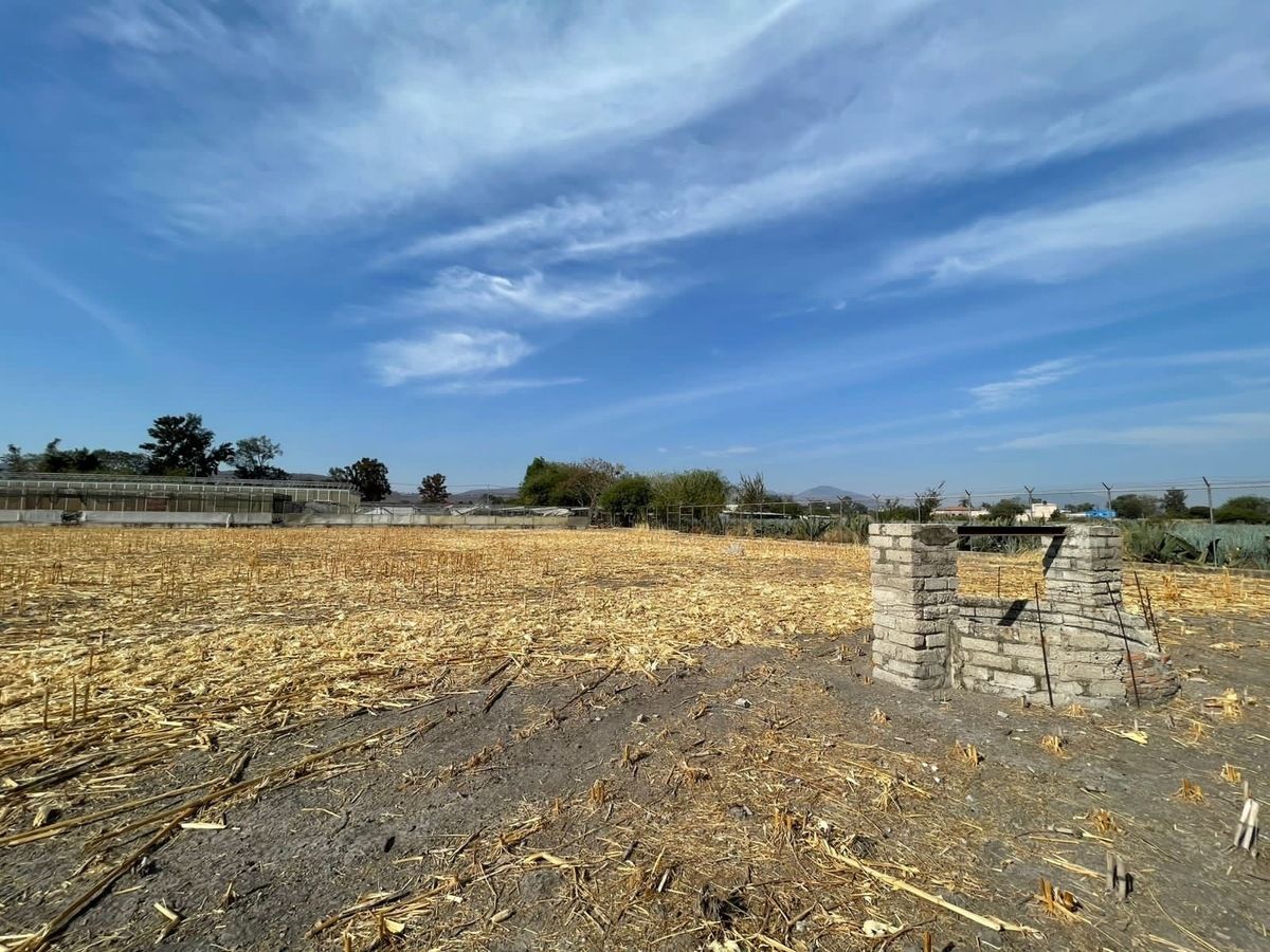 13 de 23: Rancho con Invernadero en Renta en Atequiza