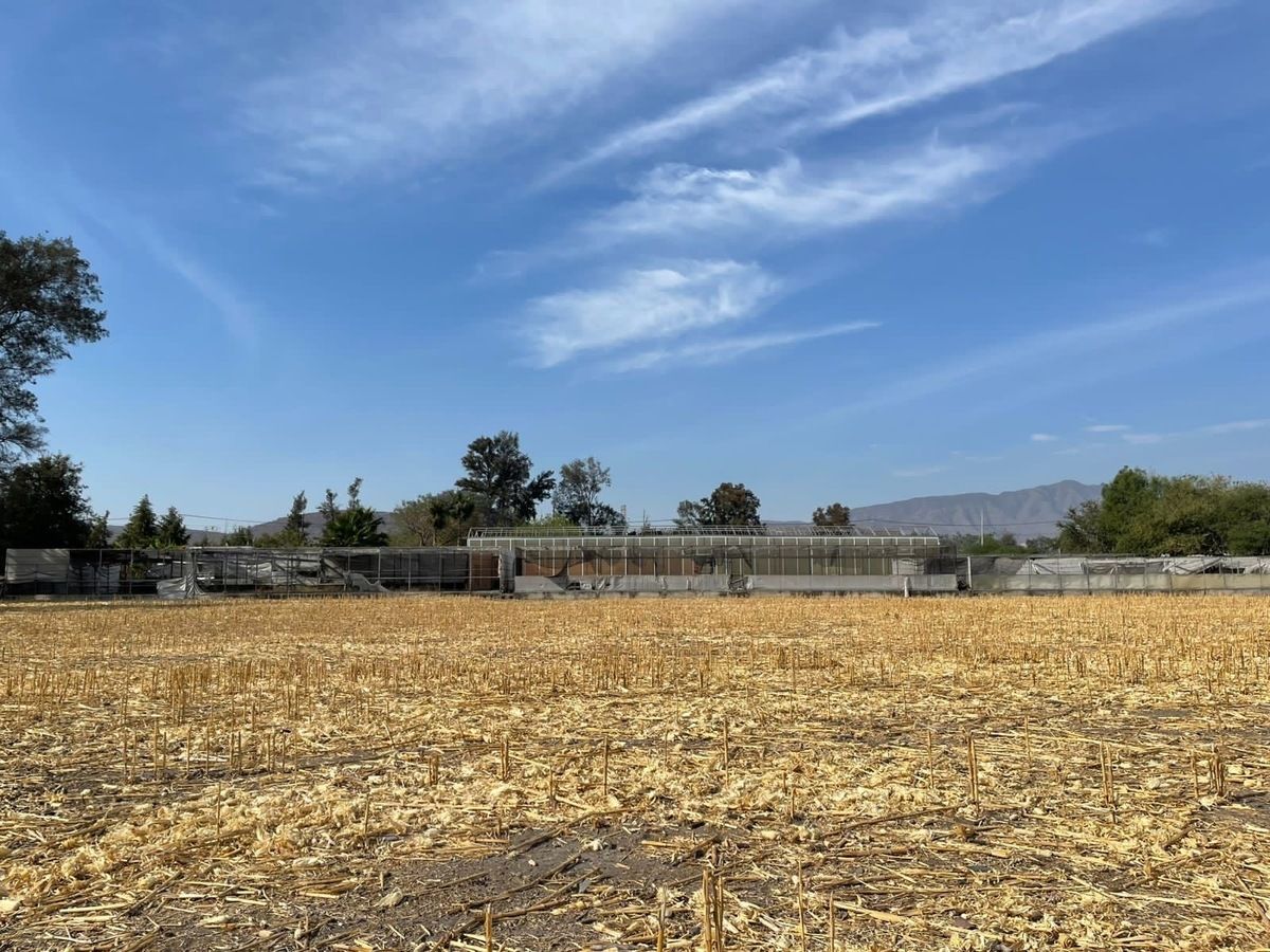 14 de 23: Rancho con Invernadero en Renta en Atequiza