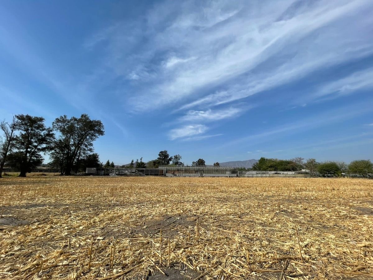 15 de 23: Rancho con Invernadero en Renta en Atequiza