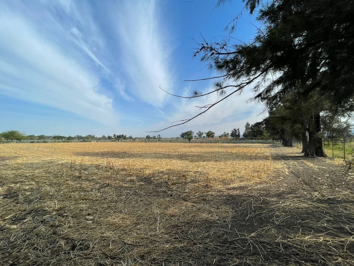 16 de 23: Rancho con Invernadero en Renta en Atequiza