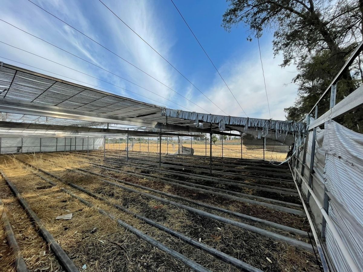 6 de 23: Rancho con Invernadero en Renta en Atequiza