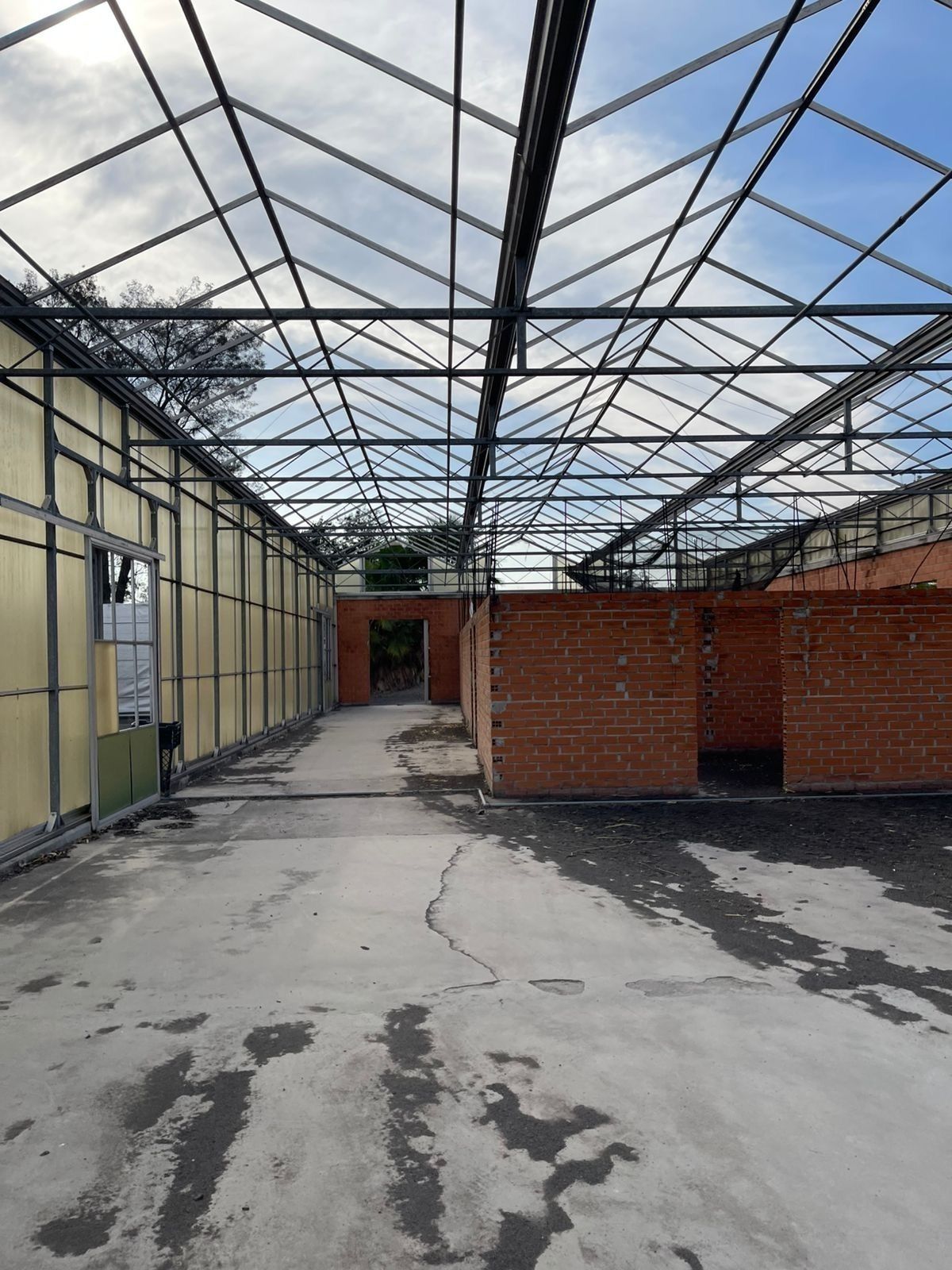 4 of 36: Rancho con Invernadero en Renta en Atequiza