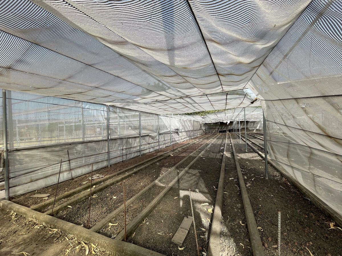 4 de 23: Rancho con Invernadero en Renta en Atequiza