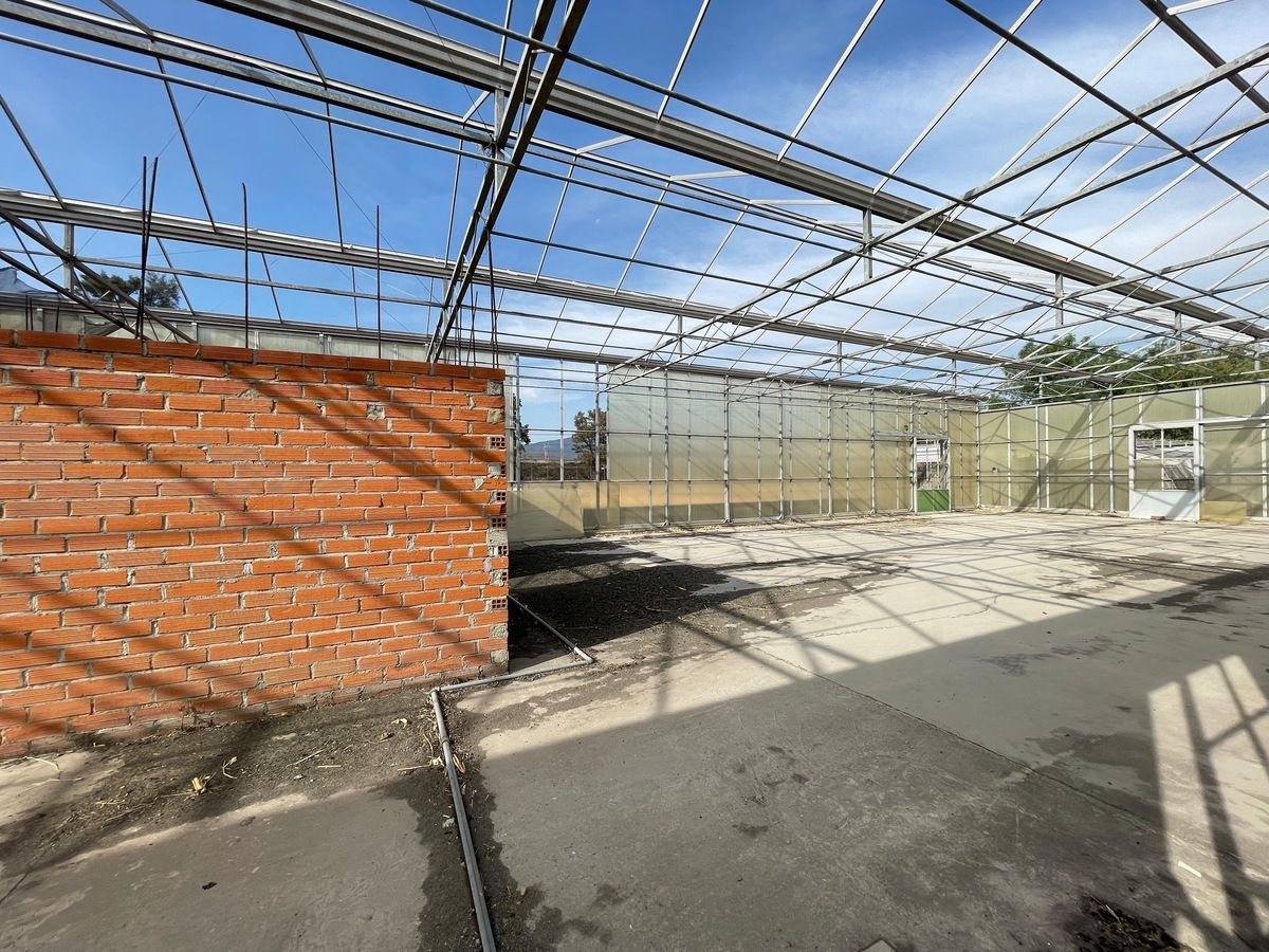 19 de 23: Rancho con Invernadero en Renta en Atequiza