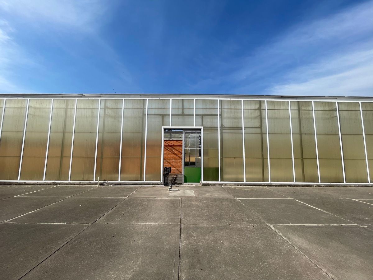 5 de 23: Rancho con Invernadero en Renta en Atequiza