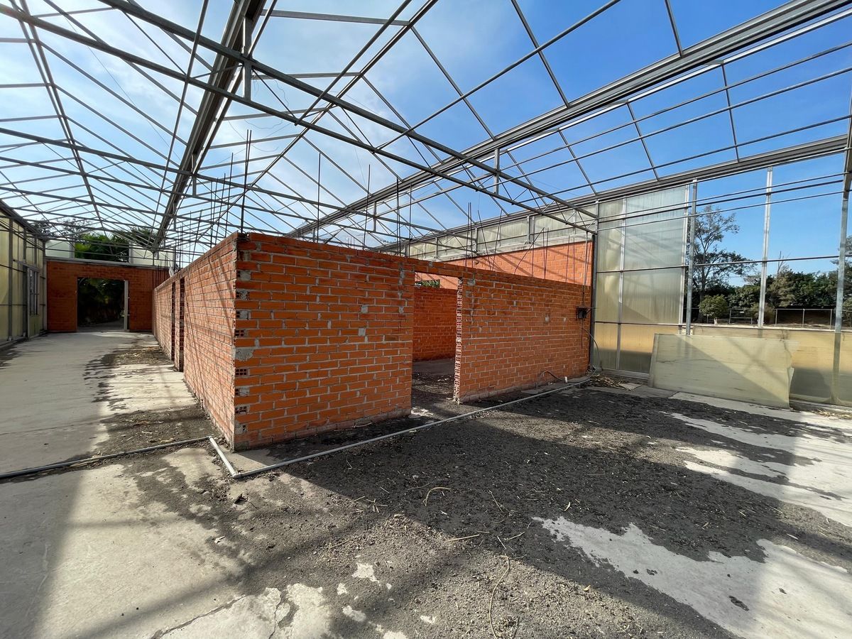 20 de 23: Rancho con Invernadero en Renta en Atequiza