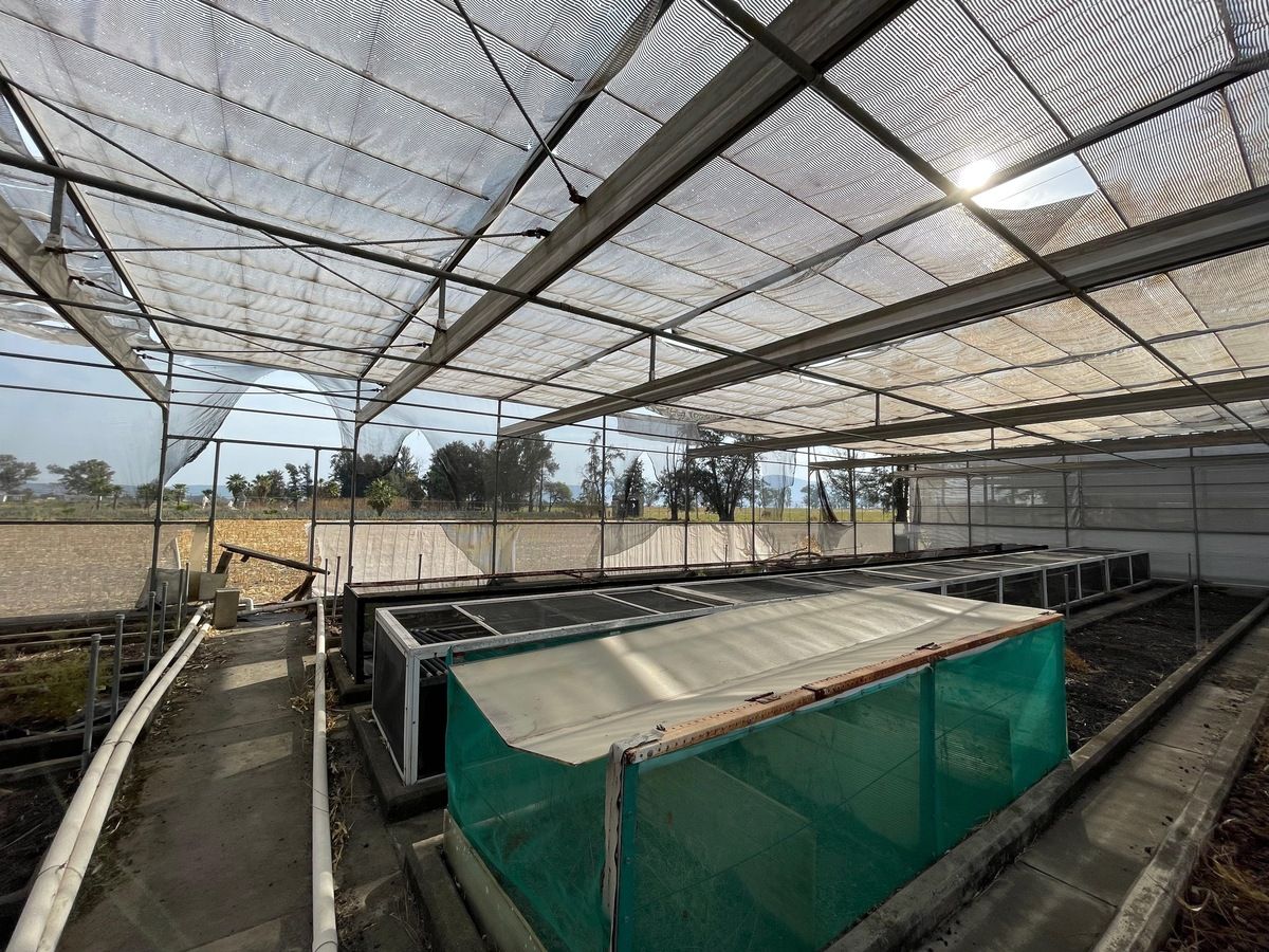 21 de 23: Rancho con Invernadero en Renta en Atequiza