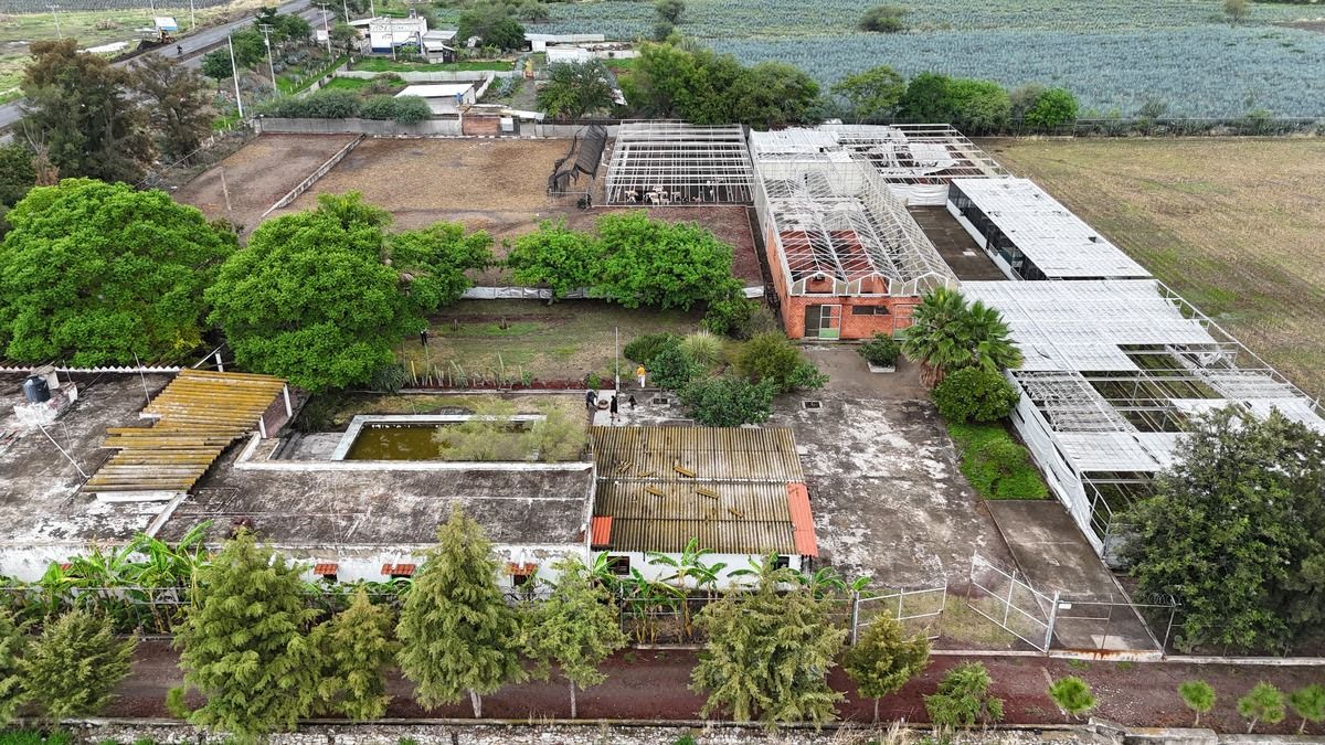 Rancho con Invernadero en Renta en Atequiza Ixtlahuacan de los Membrillos