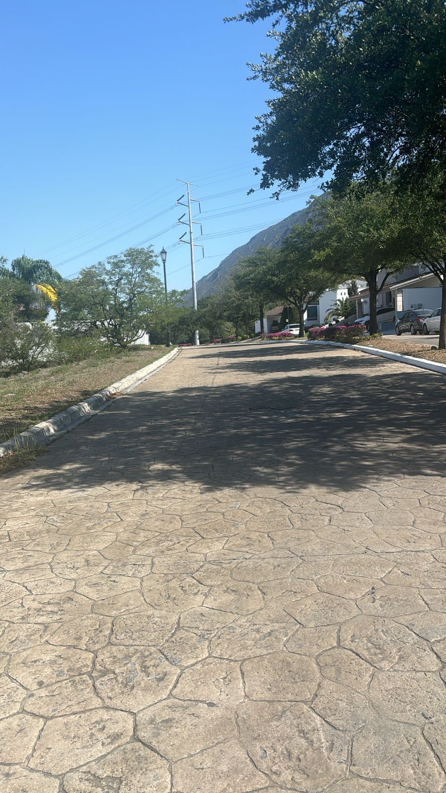 3 de 8
