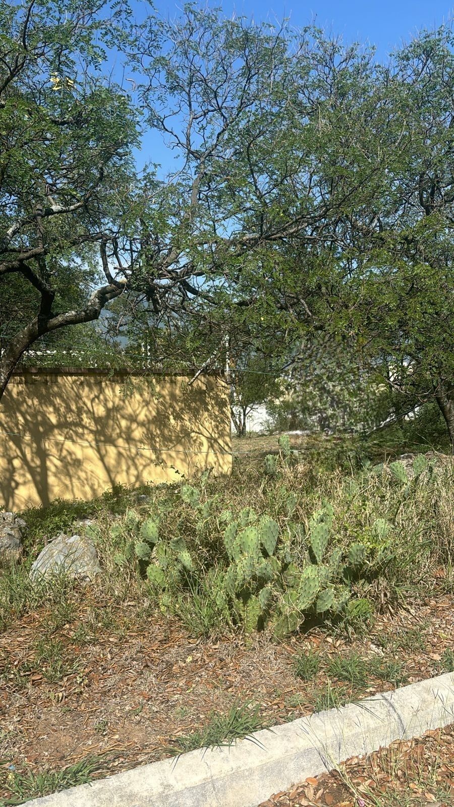 4 de 8
