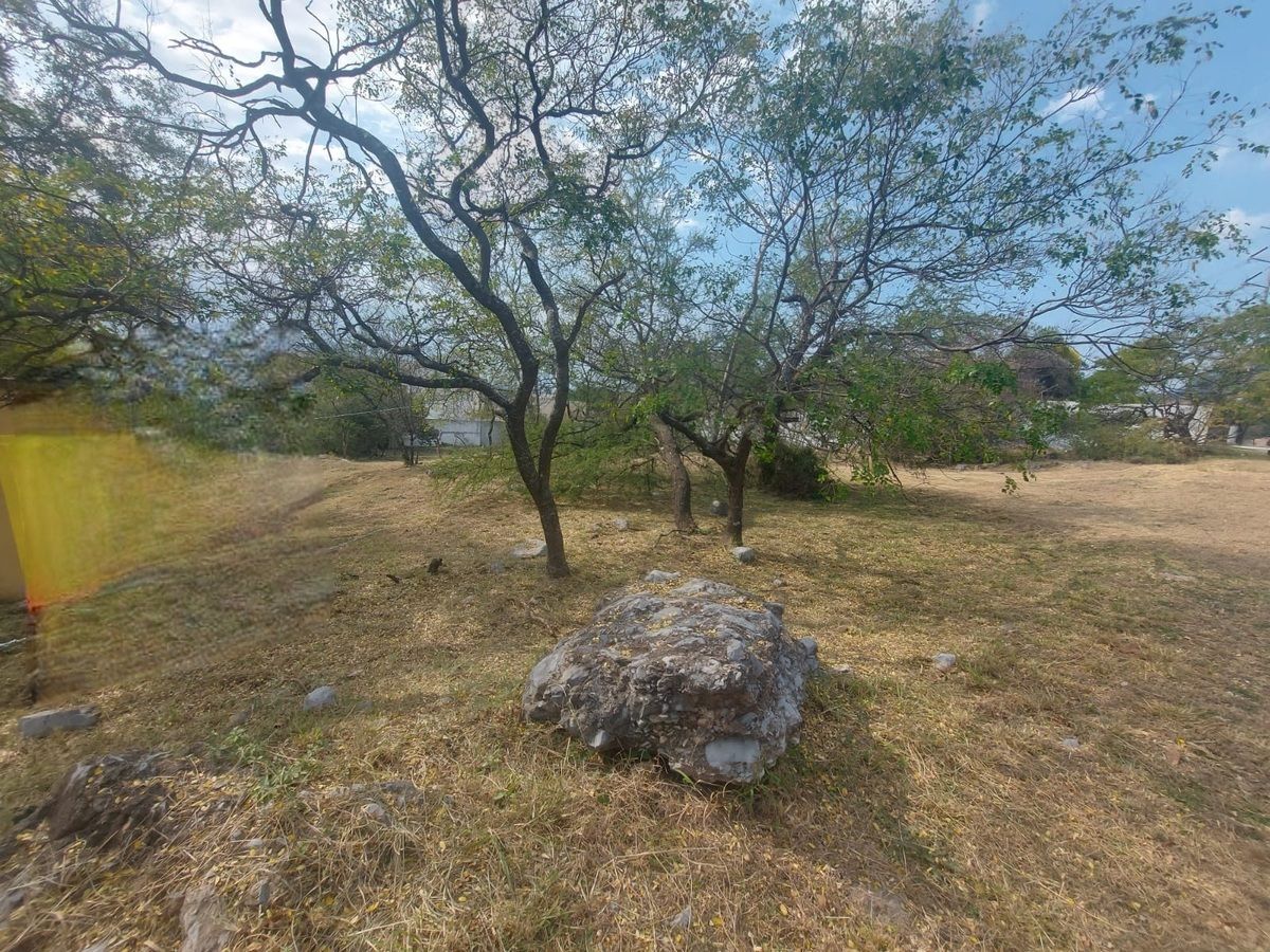 7 de 8