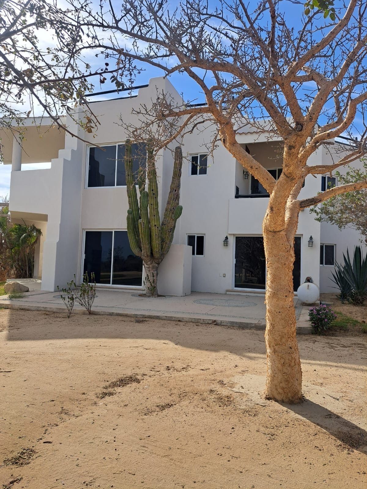 2 de 26: Área posterior