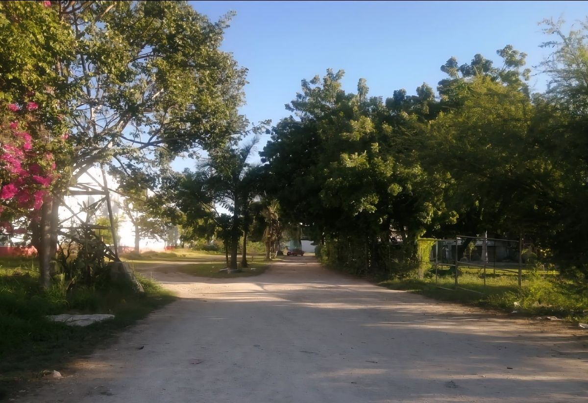 8 de 9: Estacionamiento