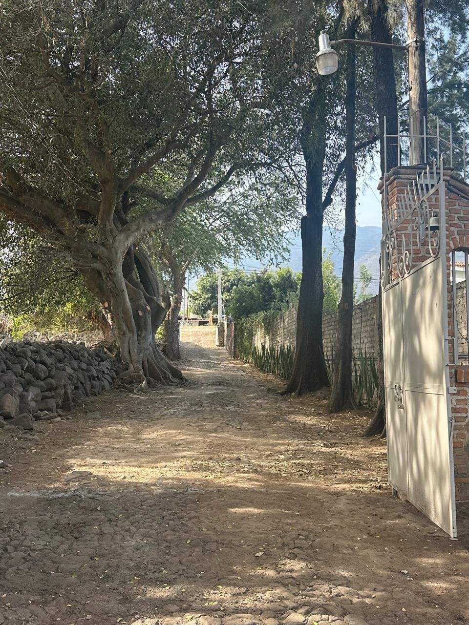3 de 15: Entrada
