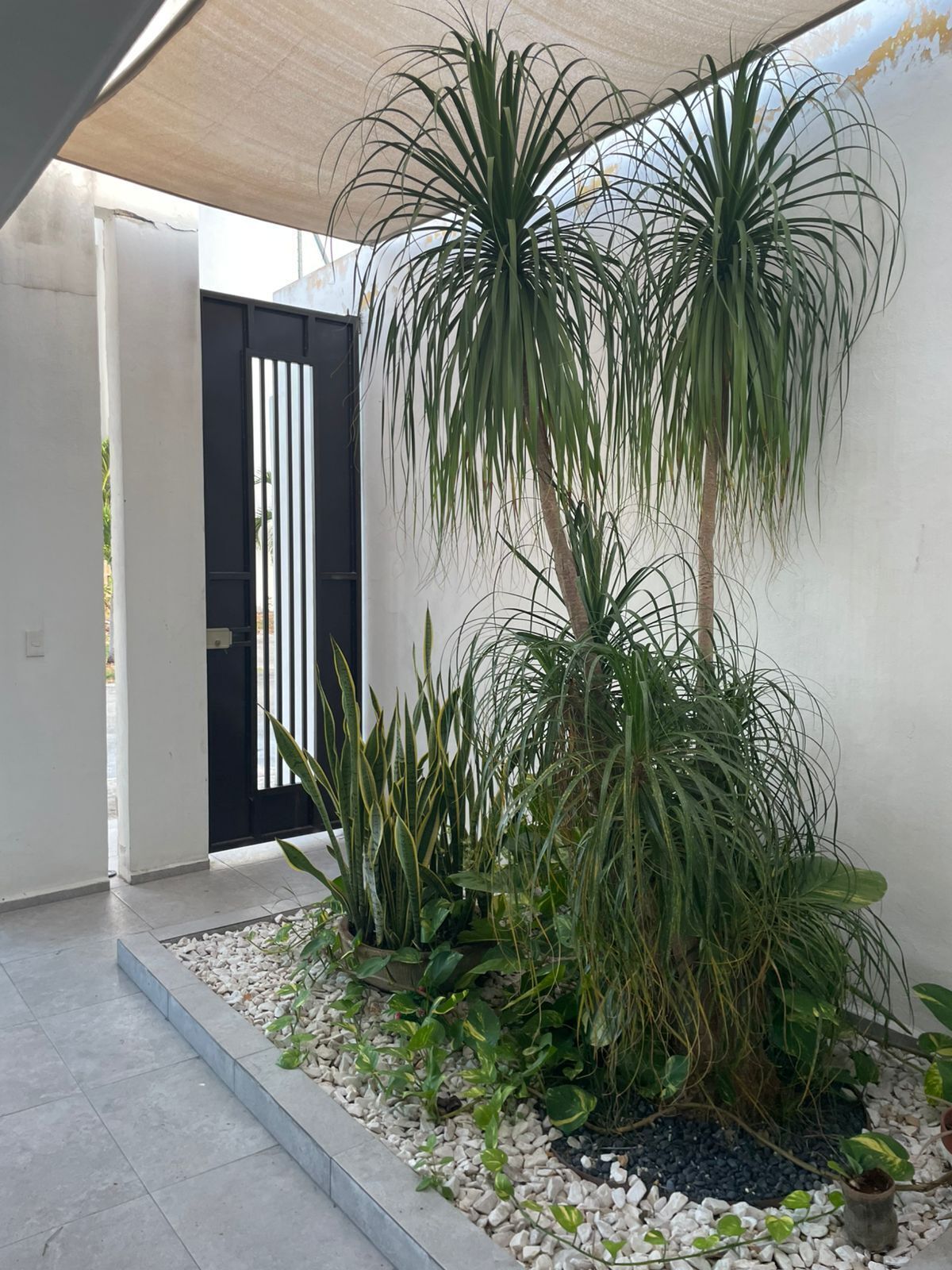 House in Las Américas, Mérida, photo 5 of 20