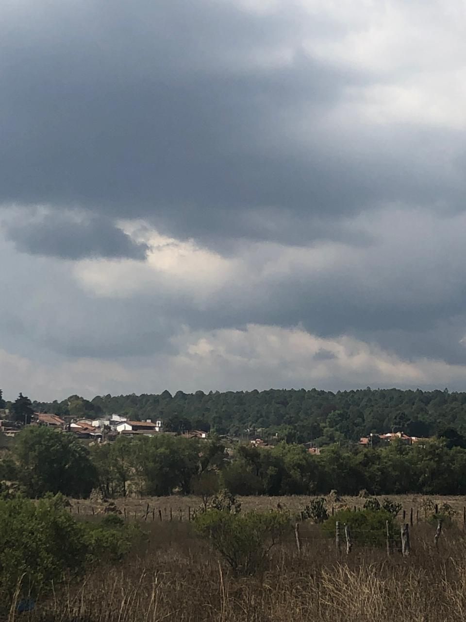 4 de 4