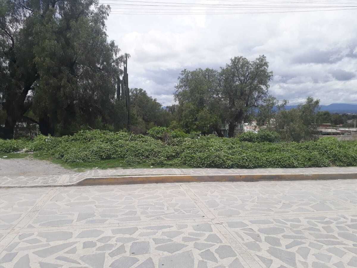 3 de 14