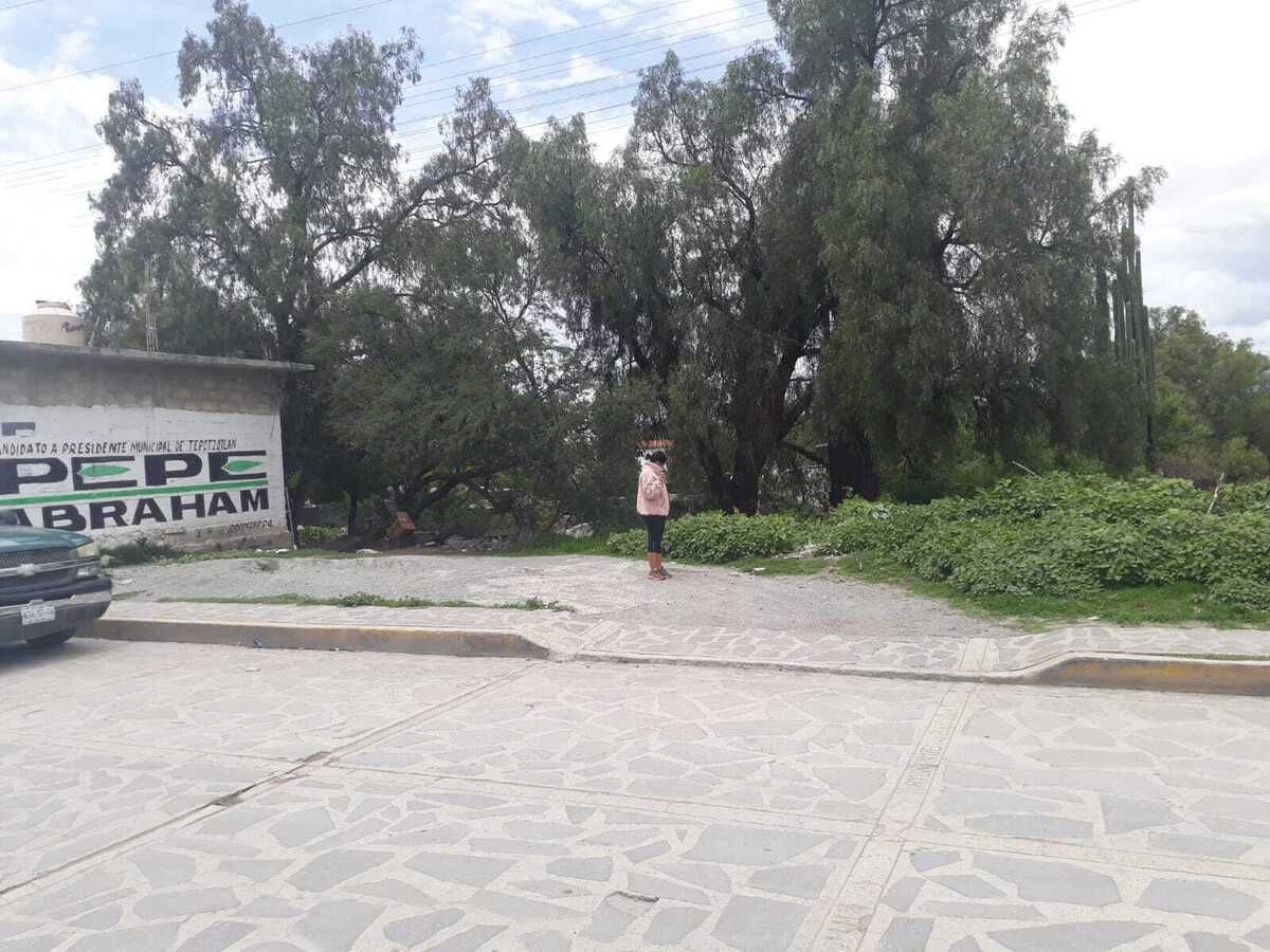 4 de 14