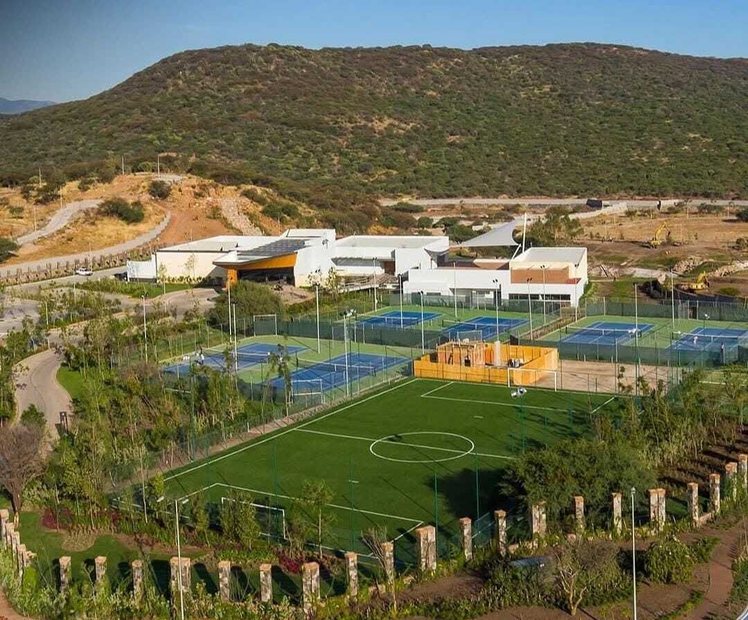 4 de 6