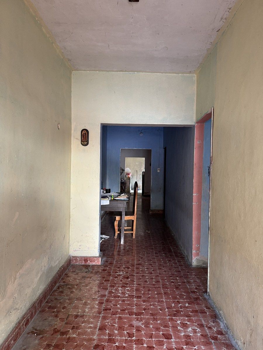 7 de 19