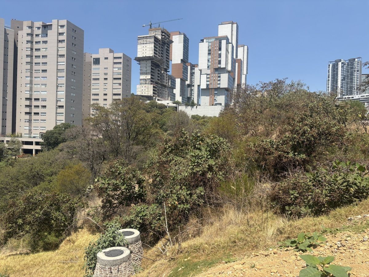 2 de 7