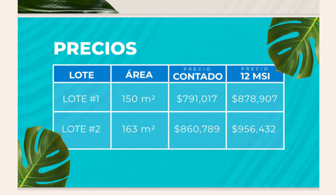 5 de 5