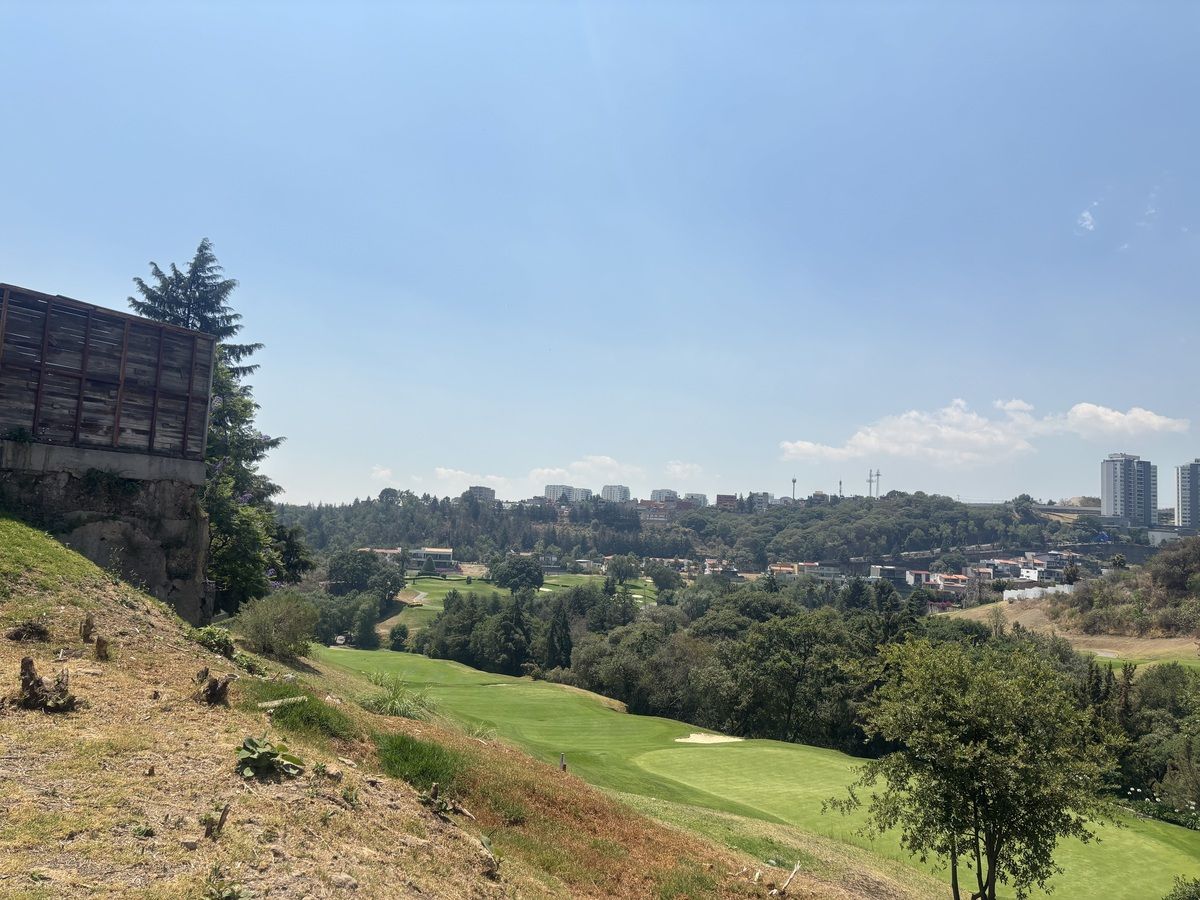 5 de 7