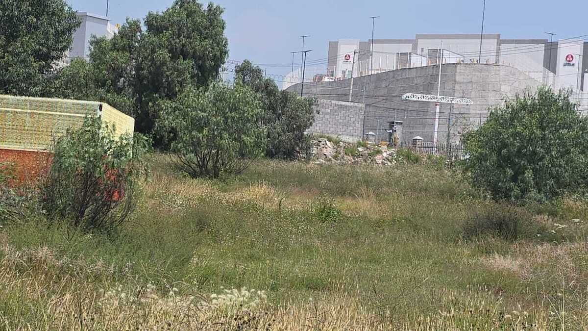 3 de 5