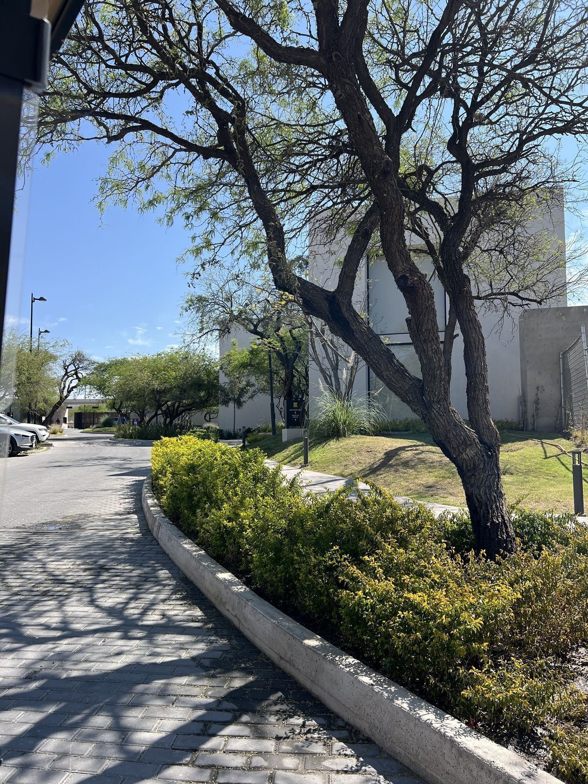 6 de 25